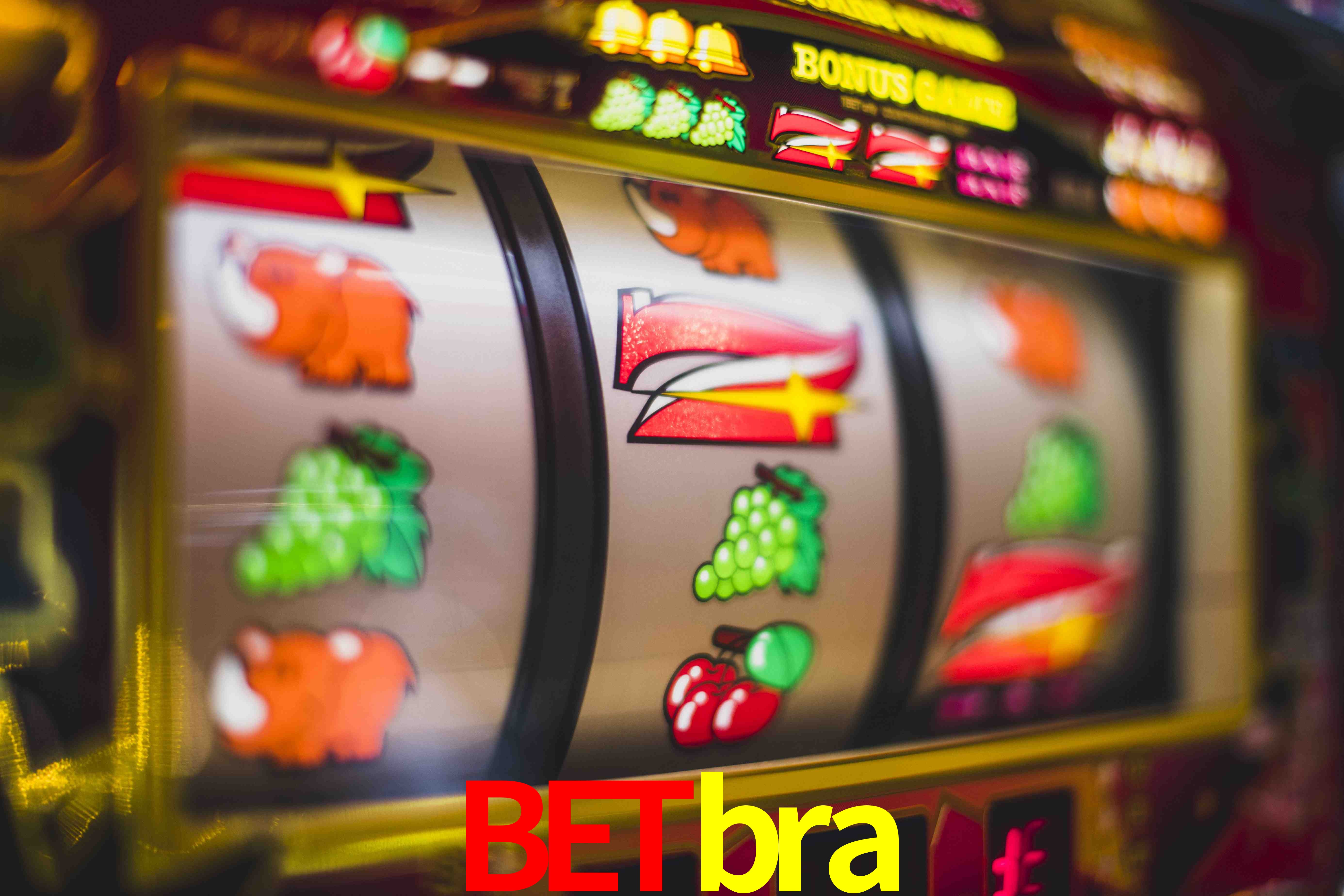 VIP Casino betbra